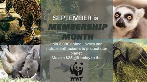 WWF Membership Month – Zelly & Ol' Hem's