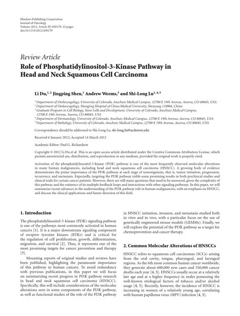 Pdf Role Of Phosphatidylinositol Kinase Pathway In Head And Neck