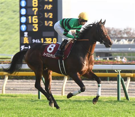 東スポ杯2歳s3着ハーツコンチェルトはホープフルsへ 有力馬 競馬 日刊スポーツ