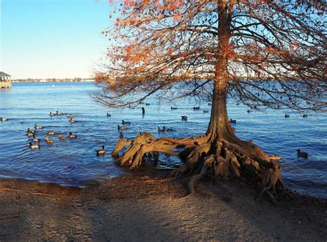 Waterfront in New Bern, North Carolina Stock Image - Image of tourism, union: 204543065