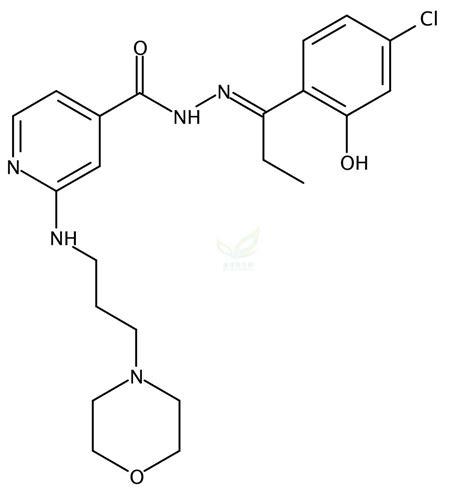 2 3 4 Morpholinyl Propyl Amino 4 Pyridinecarboxylic Acid 2 1 4 Chloro 2