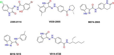 Frontiers Discovery Of Novel HPK1 Inhibitors Through Structure Based