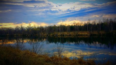 Free Images Landscape Tree Water Nature Forest Marsh Swamp