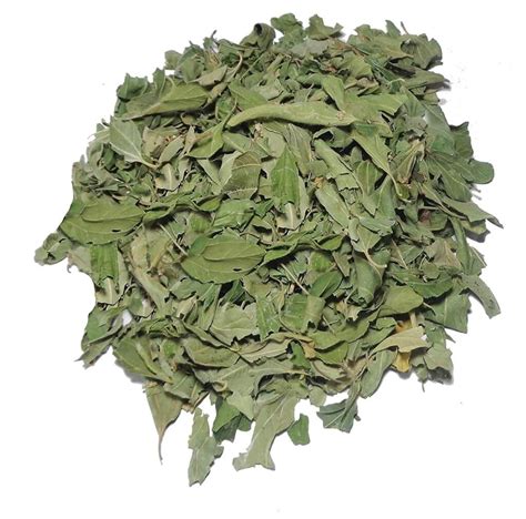 Dried Sidr Leaves - Moroccan spices