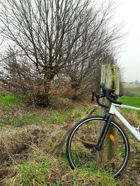 Fietsroute Houtig Erfgoed Regionaal Landschap Vlaamse Ardennen