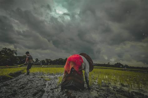 Mapping soil erosion from rainfall across India