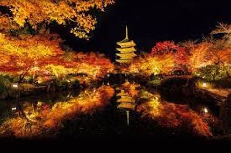 Toji Temple(night view) – Private Tour in Kyoto Wearing Kimono with Tea ...