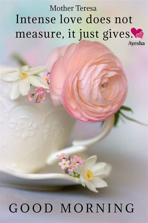 a pink rose sitting in a white teacup on top of a table with the words ...