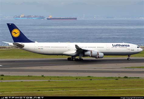 D AIGA Airbus A340 311 Lufthansa Kanehoshi JetPhotos