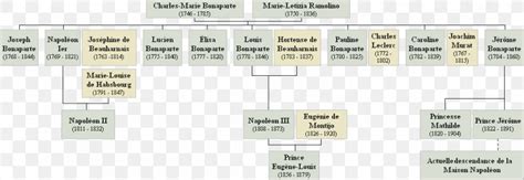 Napoleonic Wars House Of Bonaparte Genealogy Family History, PNG, 1094x377px, Napoleonic Wars ...