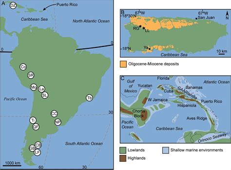 Caribbean Paleobiology The Oldest Caribbean Rodents