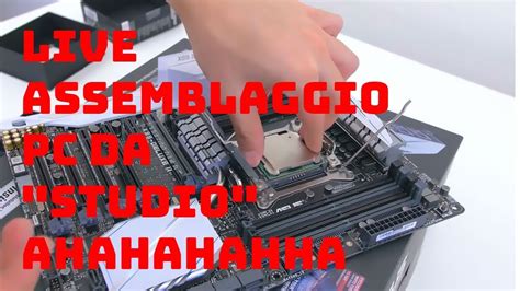 Live Assemblaggio Pc Da Studio Ahahahahah Youtube