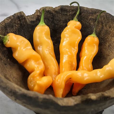 Sugar Rush Peach Hot Pepper Seeds Baker Creek Seeds