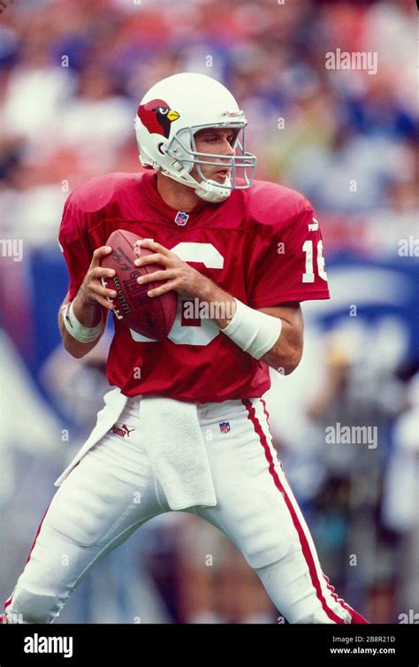 Jake Plummer of the Arizona Cardinals Stock Photo - Alamy