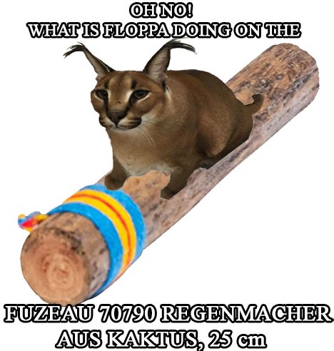 This happens when floppa : Floppa