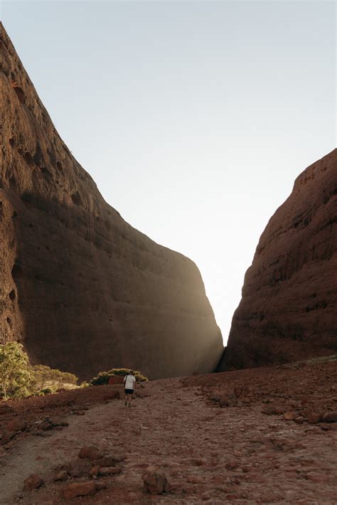 Ultimate Guide to Uluru - Australia Iconic Rock - thewildlylife.com