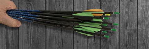 The Best Arrows For Target Shooting [currentyear] – BowAddicted