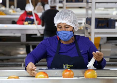 Sinaloa lidera el crecimiento económico nacional en el primer trimestre