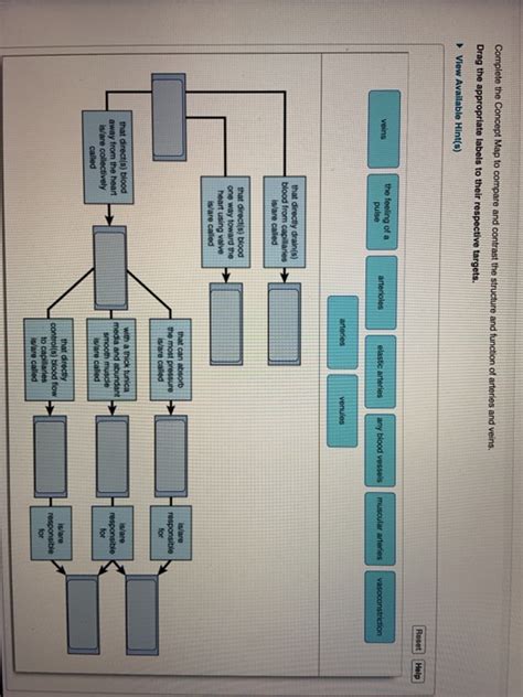 Solved Complete The Concept Map To Compare And Contrast The Chegg