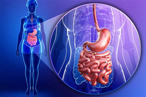 Agua Morna Solta O Intestino - Como Fazer Água e Pasta de Ameixa Para Soltar o Intestino. Qual Usar ...