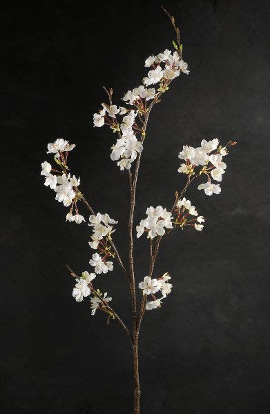 20+ Silk White Cherry Blossom Branches – The Urban Decor