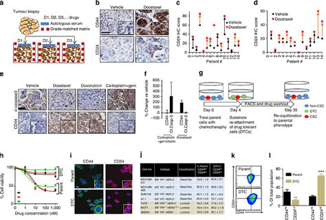 Taxane Chemotherapy Induces Phenotypic Cell State Transition And