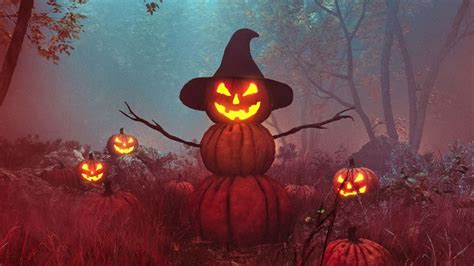 pumpkin man wallpaper  pumpkin trail happy halloween