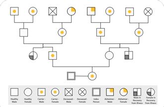 Free Online Genogram Maker | EdrawMax Online