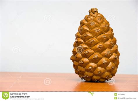 Single Pine Cone Stock Photo Image Of Brown Season 16271840