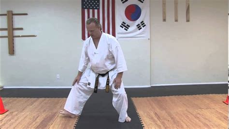 5 Basic Tae Kwon Do Poses Tae Kwon Do Youtube