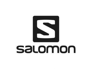 Salomon Brothers Logo PNG vector in SVG, PDF, AI, CDR format