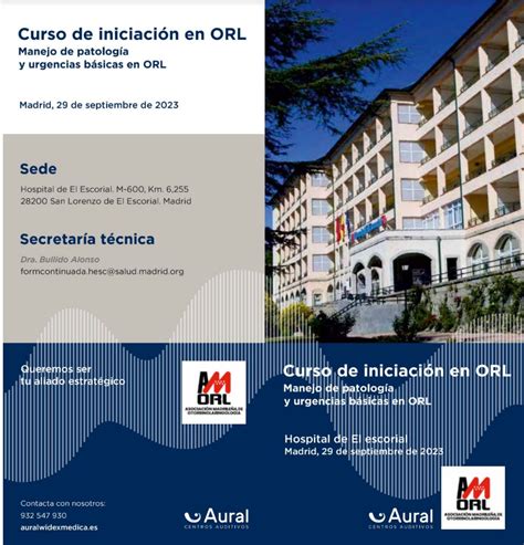 Curso De Iniciaci N En Orl Manejo De Patolog A Y Urgencias B Sicas Amorl