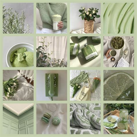 Soft Green Aesthetic / Soft And In Love - Purple, green, or other dull ...