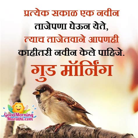 Astonishing Compilation Over Marathi Good Morning Images In