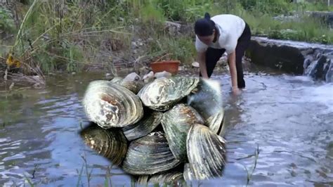 I Discovered Freshwater Clams In The River Opening Up A Rare Treasure