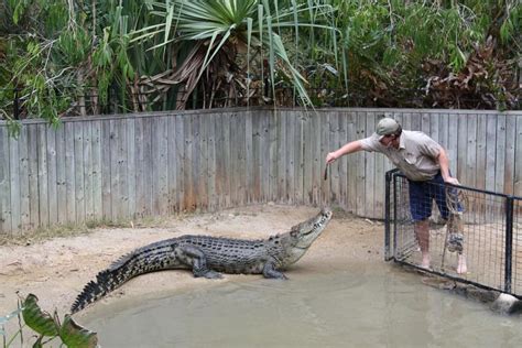 Hartleys Crocodile Adventures | Explore the Australian Wildlife