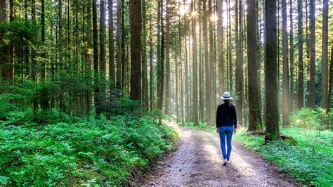 Free Images Landscape Tree Nature Wilderness Walking Girl