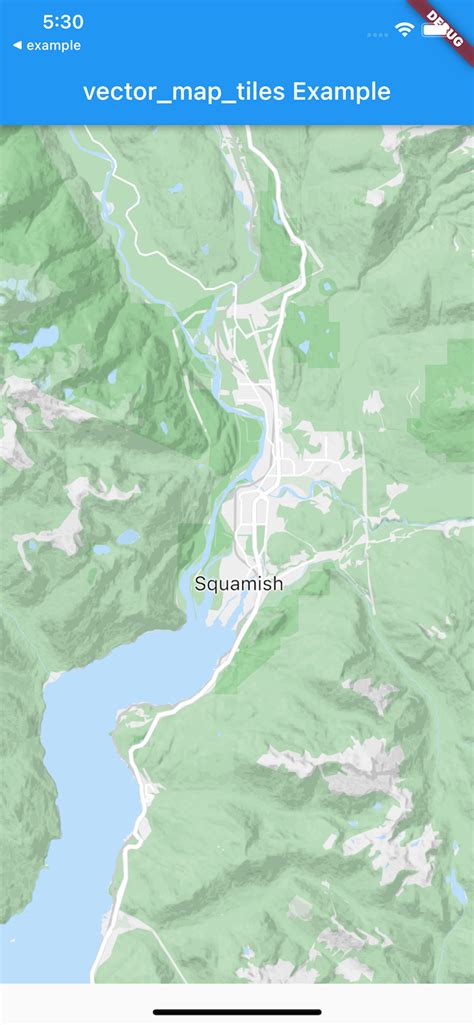 GitHub Greensopinion Flutter Vector Map Tiles A Plugin For Flutter