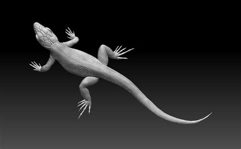 Lizard 3d Model 3d Printable Cgtrader