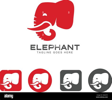 Elephant head icon and logo vector, elephant Identity logo design ...