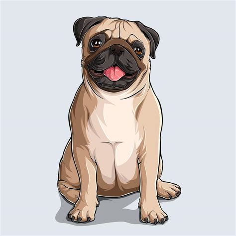 Pug Vector Art, Icons, and Graphics for Free Download