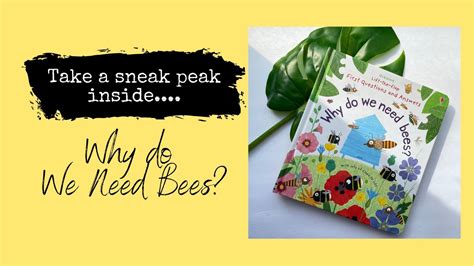 Why Do We Need Bees Peek Inside Usbornes Why We Need Bees Book