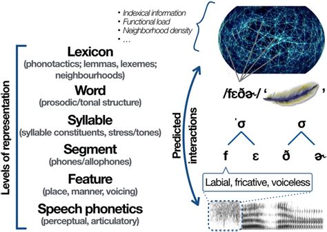 Frontiers Language And Learner Specific Influences On The Emergence