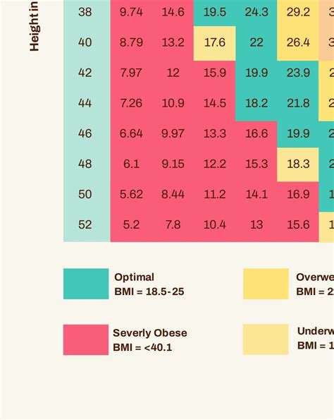 Free Free BMI Chart For Children - PDF | Template.net