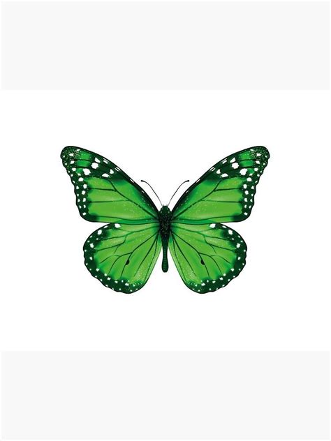 Green Butterfly With White Spots