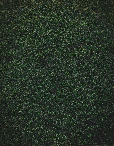 Aesthetic Dark Green Grass | Grass background, Grass pattern, Grass ...