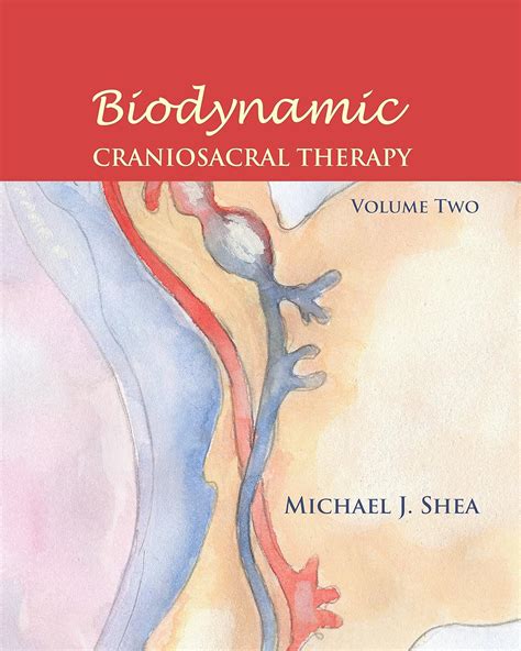 Amazon Biodynamic Craniosacral Therapy Volume Two Shea Ph D