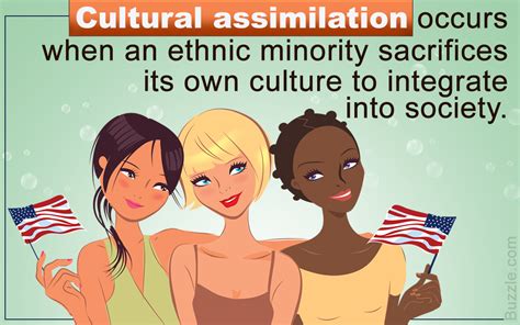 What are assimilation and acculturation?