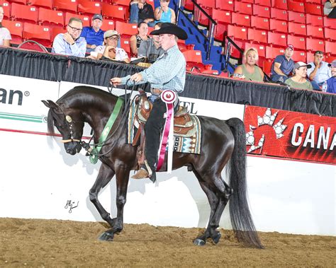 Mya powell performance could lead her team to a national title 10