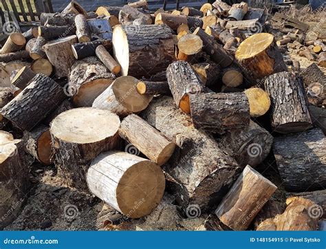 Pile Of Pine Firewood Wooden Logs Cut Stock Image Image Of Heating